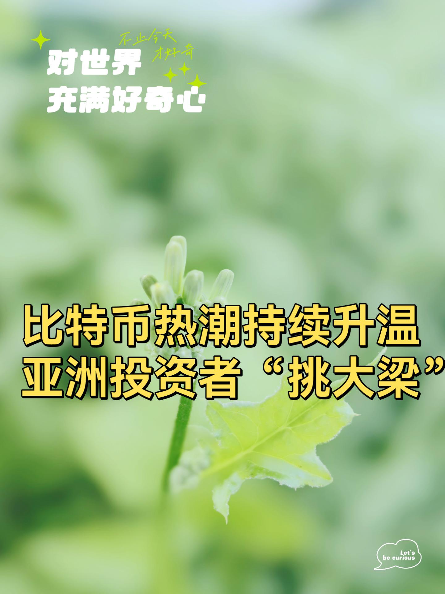 投资者普遍预期，智能合约市场行情持续升温